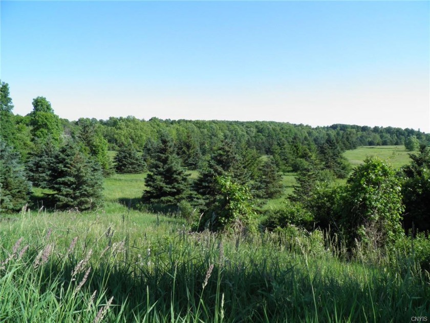 This portion of Harbor Meadows is a Town approved subdivision of - Beach Acreage for sale in Henderson, New York on Beachhouse.com