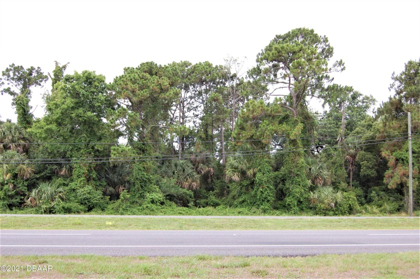 Great potential for this commercial parcel with approximately - Beach Commercial for sale in Oak Hill, Florida on Beachhouse.com