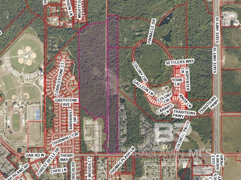 56+- acres with approximately 254 ft of road frontage! - Beach Acreage for sale in Gulf Shores, Alabama on Beachhouse.com
