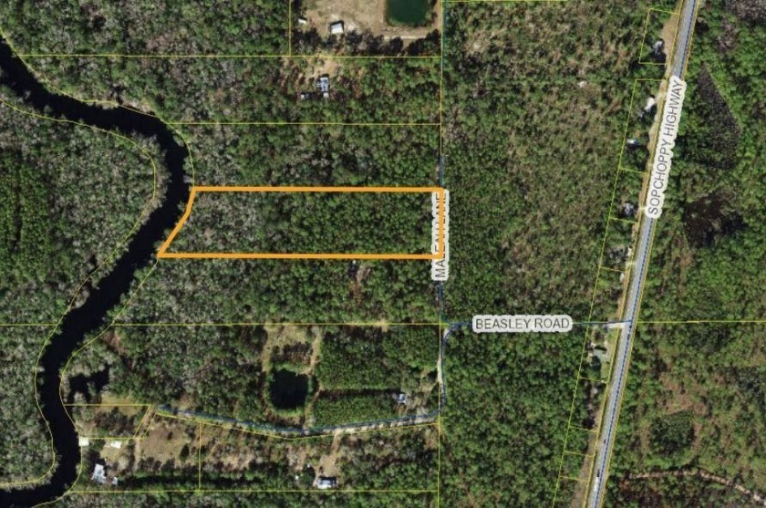 300 feet of waterfront on the lower Sopchoppy River. Within a - Beach Acreage for sale in Sopchoppy, Florida on Beachhouse.com