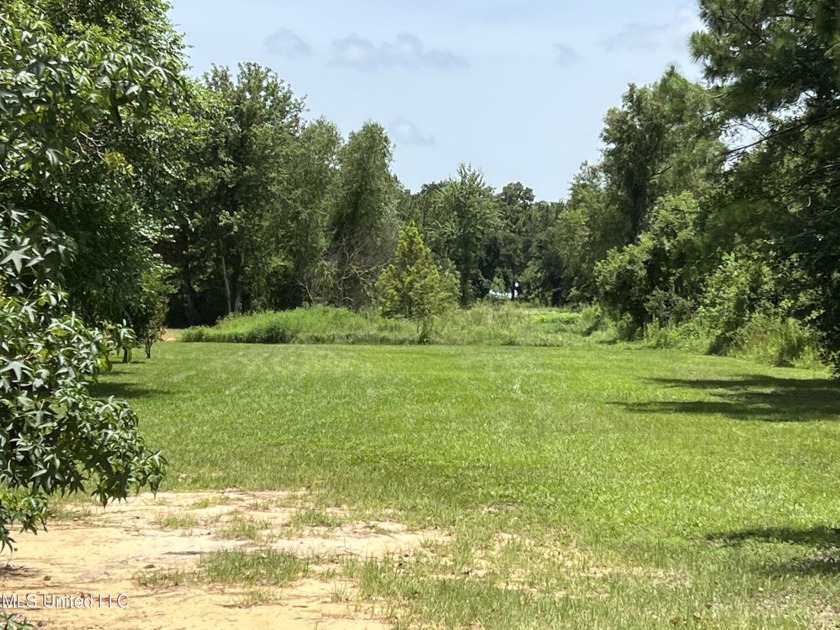 New opportunity to purchase one and a half acres near the beach - Beach Lot for sale in Pass Christian, Mississippi on Beachhouse.com