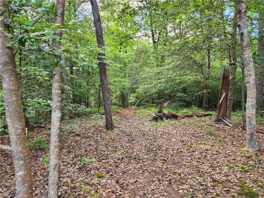 3 lots with lines recently removed, making one large 0.52 parcel - Beach Lot for sale in Gloucester, Virginia on Beachhouse.com