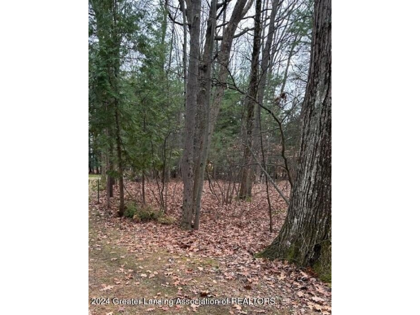 Enjoy this beautiful half-acre lot in Au Gres. Whether you're - Beach Lot for sale in Au Gres, Michigan on Beachhouse.com