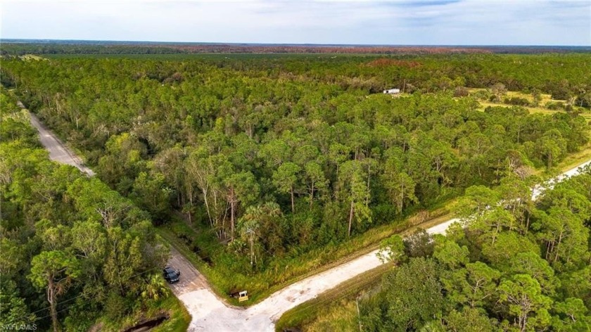 Embrace the Beauty and Potential of this remarkable 9.74-acre - Beach Acreage for sale in Naples, Florida on Beachhouse.com