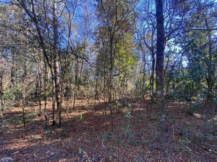4.36 Acre Wooded Residential lot. Zoned Residential Single - Beach Acreage for sale in Crawfordville, Florida on Beachhouse.com