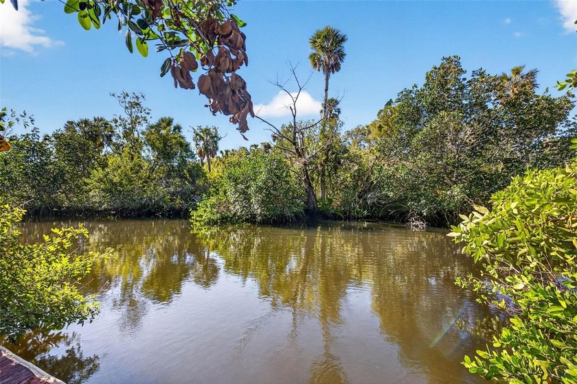 Build your dream home on this beautiful waterfront lot in a - Beach Lot for sale in Port Richey, Florida on Beachhouse.com