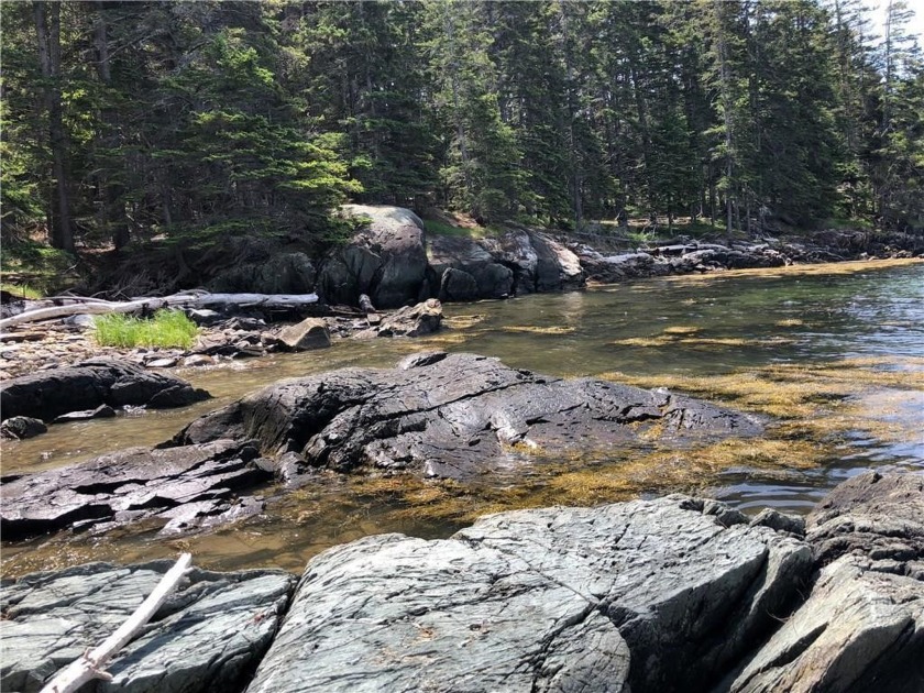 Stunning 10.9 acres of wilderness and rugged shoreline, below - Beach Acreage for sale in Islesboro, Maine on Beachhouse.com