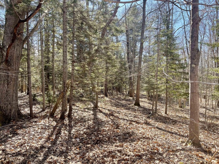 Rare opportunity to own a large buildable lot on the coveted - Beach Acreage for sale in Chebeague Island, Maine on Beachhouse.com