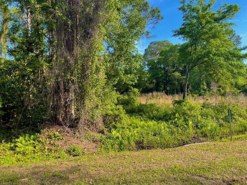 Nestled down Pinewood Avenue in charming Carrabelle, Florida - Beach Lot for sale in Lanark Village, Florida on Beachhouse.com