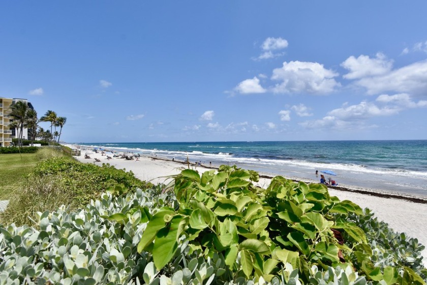 Gorgeous First Floor Unit , Steps to the Ocean with a Huge 500+ - Beach Condo for sale in Hillsboro Beach, Florida on Beachhouse.com