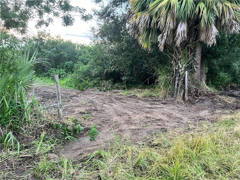 Property is high and dry on the Florida Ridge. Never pay for - Beach Lot for sale in Vero Beach, Florida on Beachhouse.com