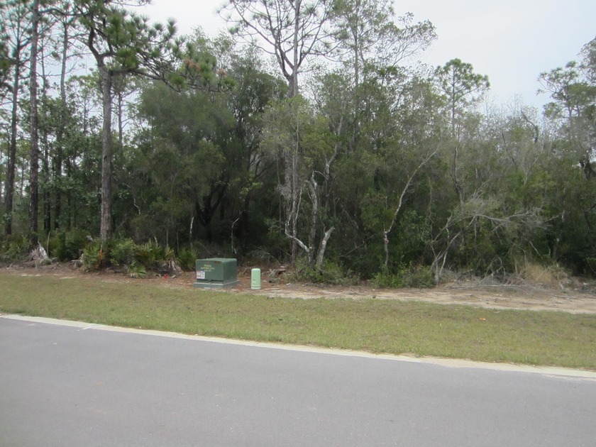 Seagrove Beach residential lot with ''NO HOA''. This subdivision - Beach Lot for sale in Santa Rosa Beach, Florida on Beachhouse.com