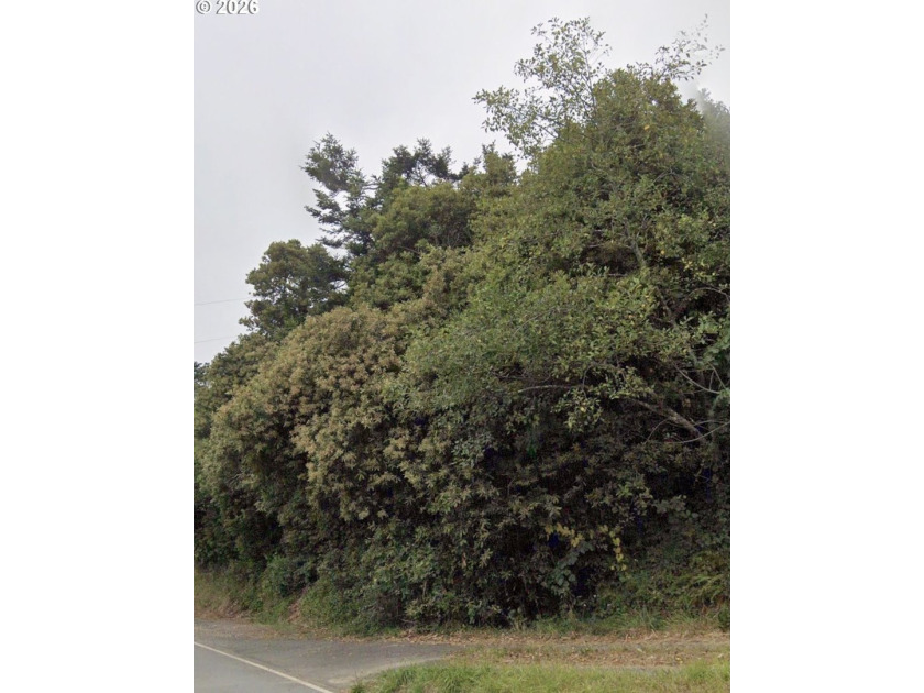 1.53 Acres in Nesika Beach/Ophir area. Close proximity to market - Beach Lot for sale in Gold Beach, Oregon on Beachhouse.com
