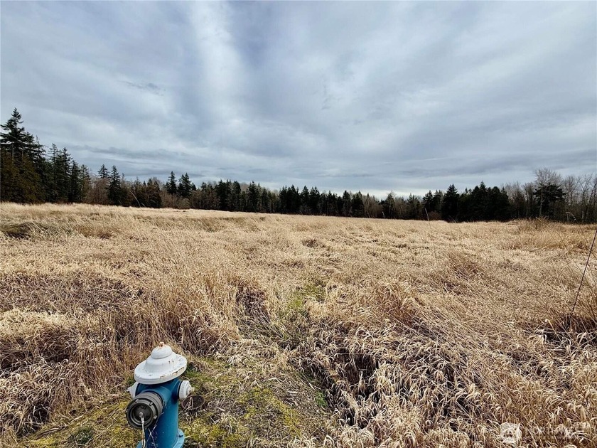 Your Dream Awaits! This property has water and electricity in - Beach Acreage for sale in Blaine, Washington on Beachhouse.com
