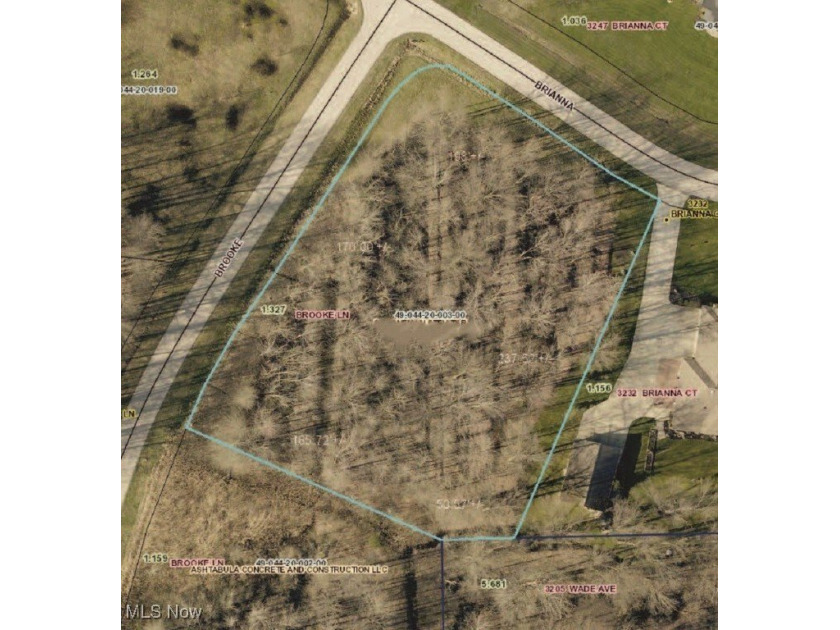 1.32-acre wooded corner lot is just waiting for your new build! - Beach Lot for sale in Ashtabula, Ohio on Beachhouse.com