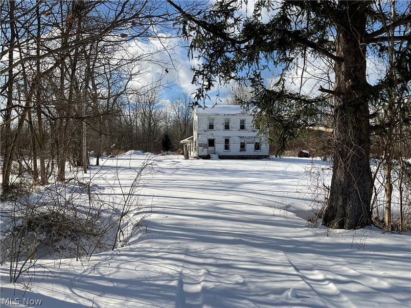 Welcome Home to Possibilities. THIS IS A COMPLETE FIXER-UPPER!! - Beach Home for sale in Geneva, Ohio on Beachhouse.com