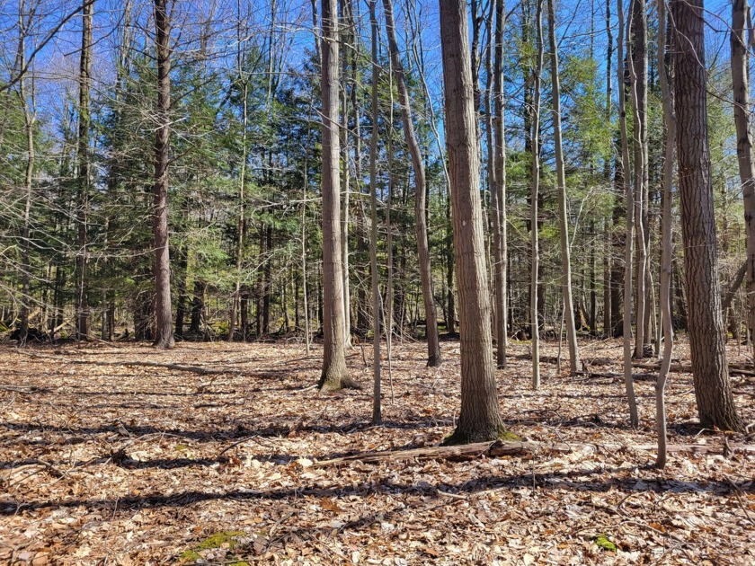 Nearly 6 wooded acres in the Whitehall School District.  Mature - Beach Acreage for sale in Whitehall, Michigan on Beachhouse.com