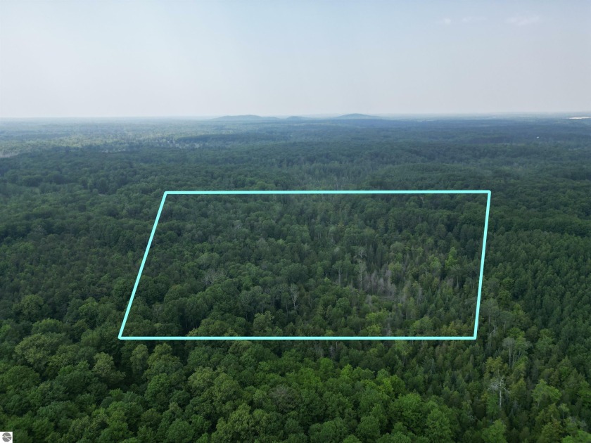 Heavily wooded 20.5 acre parcel just a few minutes from downtown - Beach Acreage for sale in Traverse City, Michigan on Beachhouse.com