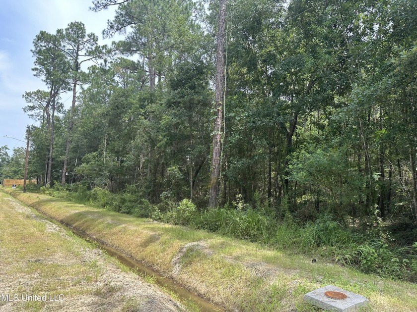 Great lot to build on. X Flood zone. Brand new city water, sewer - Beach Lot for sale in Waveland, Mississippi on Beachhouse.com