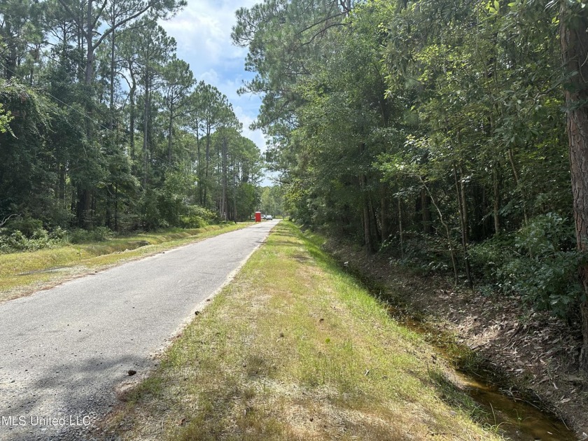 X Flood Zone. You can build on the ground.  water/sewer/gas - Beach Lot for sale in Waveland, Mississippi on Beachhouse.com