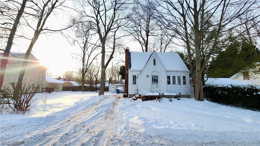 Amazing Opportunity for All Investors! This home offers a double - Beach Home for sale in Willoughby, Ohio on Beachhouse.com