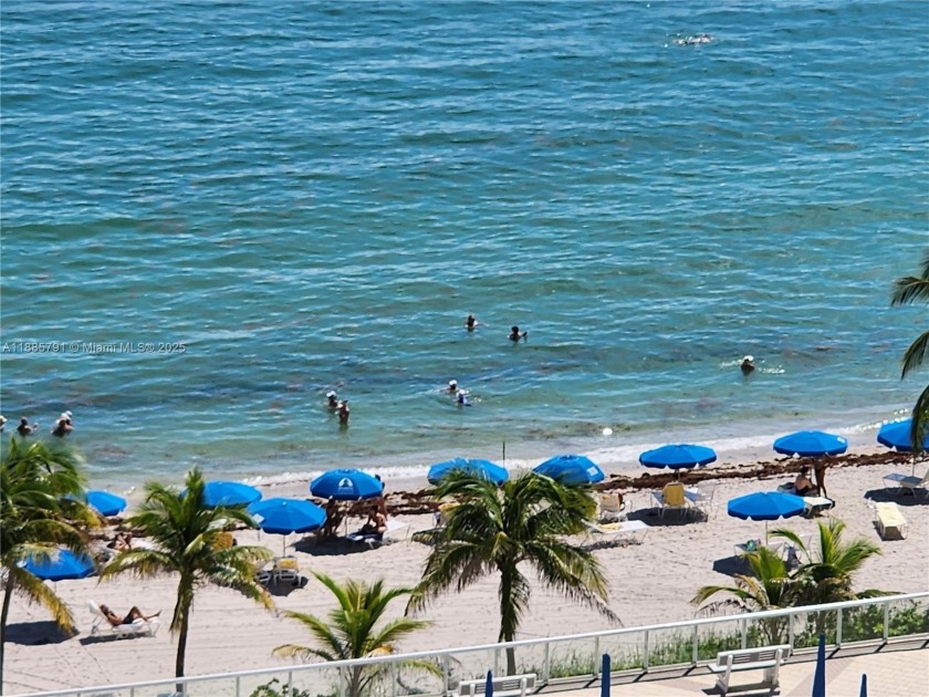 PERFECT & READY FOR YOU TO ENJOY WITH EASE WITH SOUTH EAST OCEAN - Beach Condo for sale in Hallandale Beach, Florida on Beachhouse.com