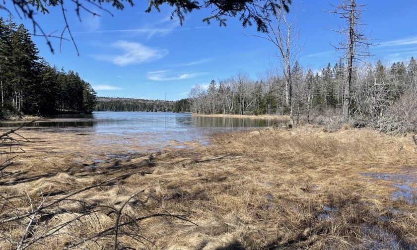 This beautiful Waterfront lot is perfect for building your - Beach Acreage for sale in Steuben, Maine on Beachhouse.com
