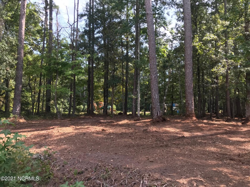 Build your own special retreat on this very private wooded - Beach Lot for sale in Arapahoe, North Carolina on Beachhouse.com