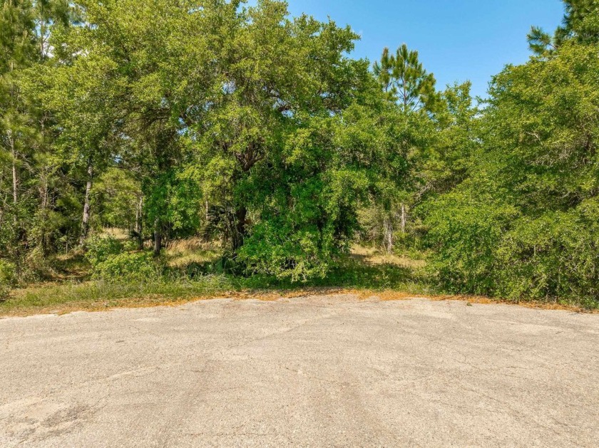 Build your dream home on this partially wooded 3.98 acre parcel - Beach Acreage for sale in Ochlockonee Bay, Florida on Beachhouse.com