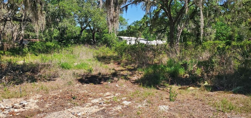 This property is 4 lots  and close to moon lake road.  This - Beach Lot for sale in New Port Richey, Florida on Beachhouse.com