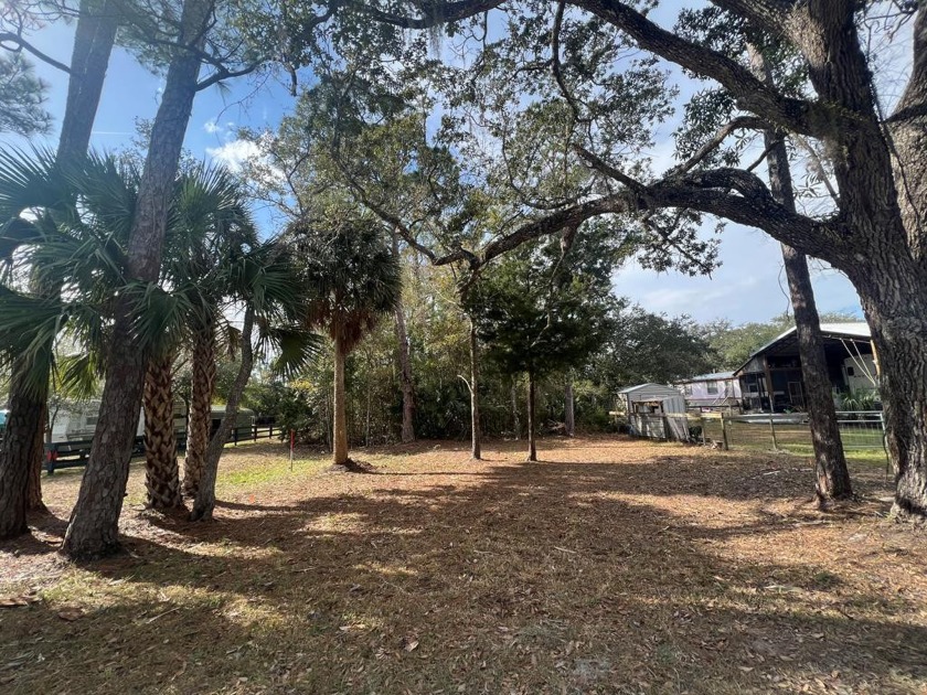Vacant Lot in the Heart of Steinhatchee! This wooded property - Beach Lot for sale in Steinhatchee, Florida on Beachhouse.com
