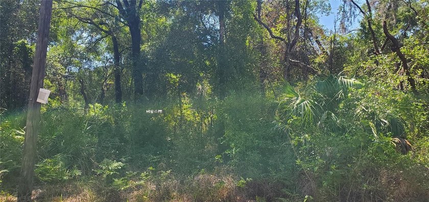 This property is 2 lots wooded close to moon lake road.  This - Beach Lot for sale in New Port Richey, Florida on Beachhouse.com