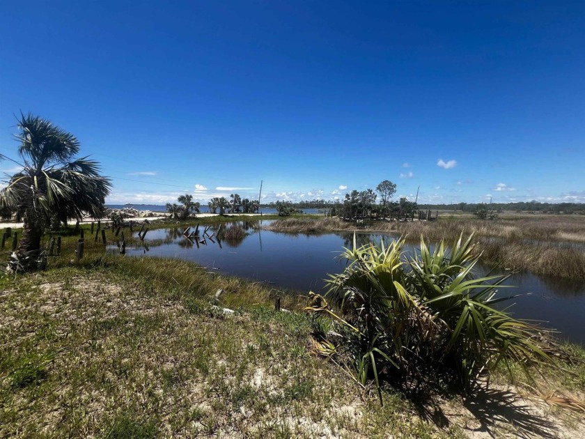 Gulf View lot at Ezell Beach! Offered individually or as 3-total - Beach Lot for sale in Keaton Beach, Florida on Beachhouse.com