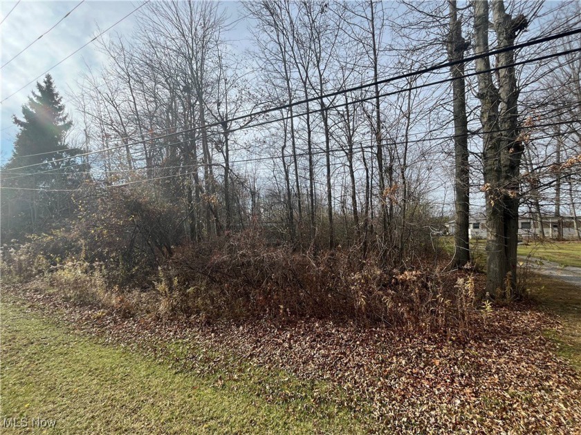 Here is a prime building lot in the heart of wine country close - Beach Acreage for sale in Geneva, Ohio on Beachhouse.com