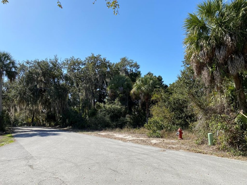 This GORGEOUS lot sits high atop a hill in one of the island's - Beach Lot for sale in Cedar Key, Florida on Beachhouse.com