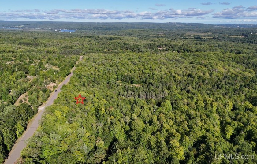 10 acres of beautifully wooded property in Stanton Township! - Beach Acreage for sale in Atlantic Mine, Michigan on Beachhouse.com