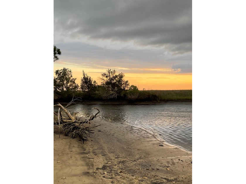 50 ft canal footage lot...Direct Access to Gulf of Mexico. Rare - Beach Lot for sale in Suwannee, Florida on Beachhouse.com