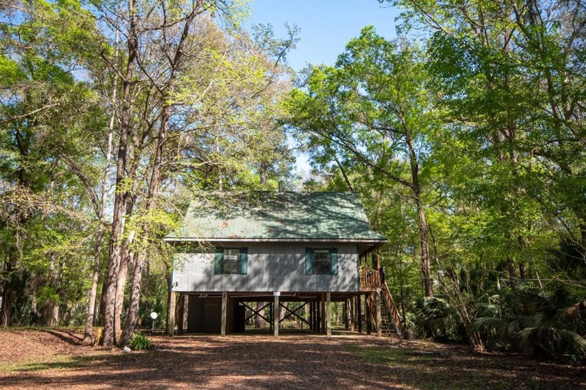 Adorable cabin on the upper Steinhatchee River! This home - Beach Home for sale in Steinhatchee, Florida on Beachhouse.com