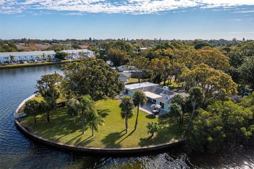 Private Waterfront Paradise on .67 acre with views of downtown - Beach Home for sale in St. Petersburg, Florida on Beachhouse.com