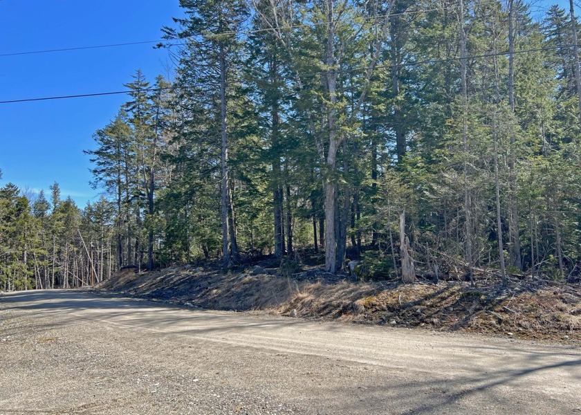 This elevated 2.18-acre wooded property is a must-see. With - Beach Acreage for sale in Orland, Maine on Beachhouse.com
