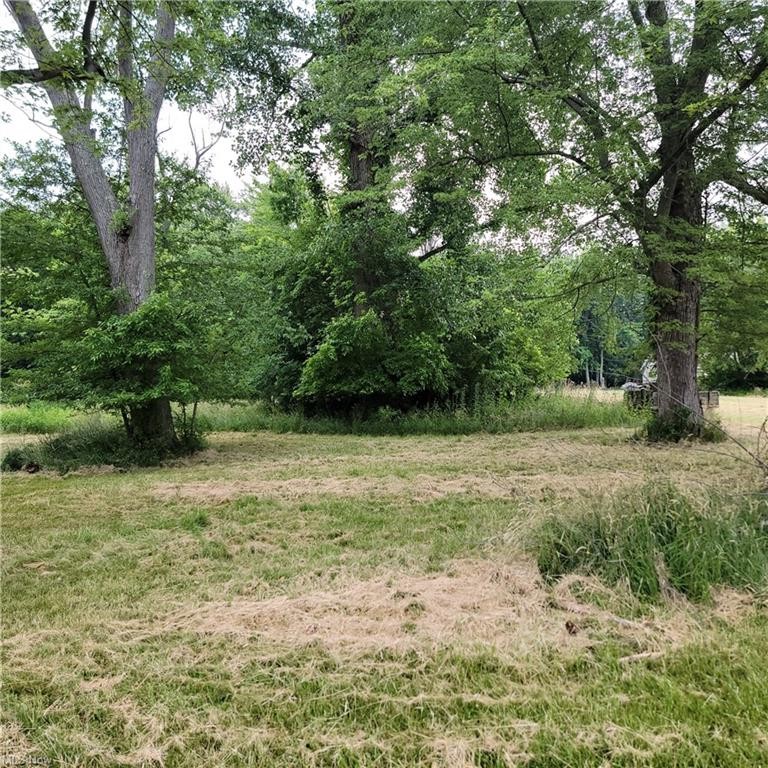 What a Wonderful Find-This .6198 Acre Lot with view of Lake Erie - Beach Lot for sale in Perry, Ohio on Beachhouse.com