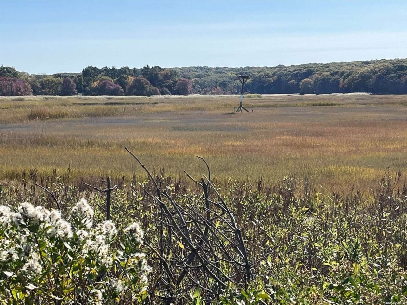 This land is on a Creek.  It may not be buildable but could - Beach Lot for sale in Wading River, New York on Beachhouse.com