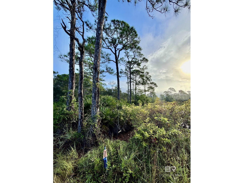 A great building lot in Fort Morgan, Gulf Shores, Alabama - Beach Lot for sale in Gulf Shores, Alabama on Beachhouse.com