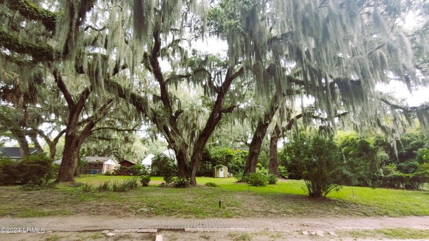 Beautiful Grand Spanish Moss Draped Live Oaks create a perfect - Beach Lot for sale in Port Royal, South Carolina on Beachhouse.com