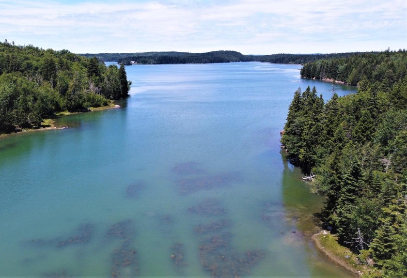 A gently sloping 2-acre lot with 186 feet of saltwater frontage - Beach Acreage for sale in Machiasport, Maine on Beachhouse.com
