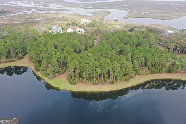 Hey y'all, I've got something special for you in Cumberland - Beach Lot for sale in Saint Marys, Georgia on Beachhouse.com