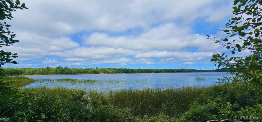 Discover an affordable waterfront opportunity in Houghton County - Beach Lot for sale in Lake Linden, Michigan on Beachhouse.com