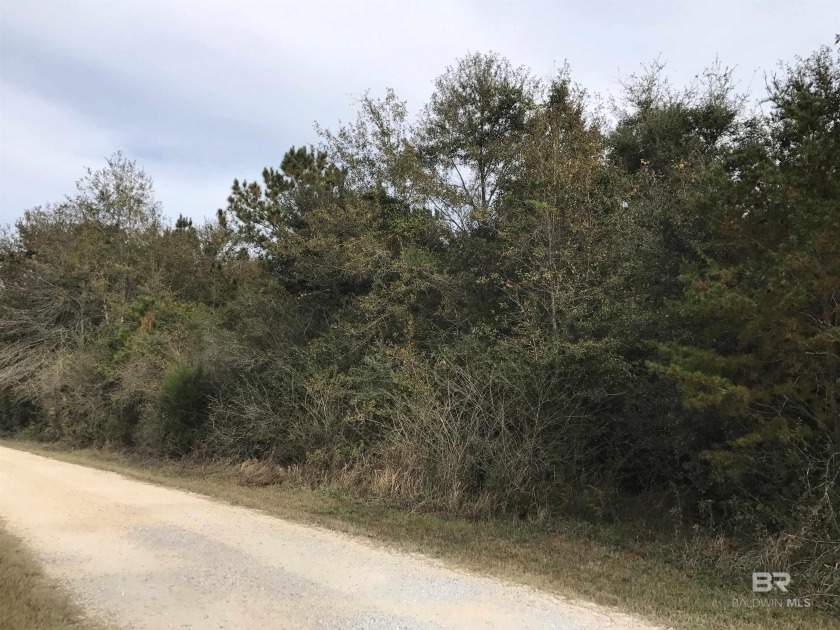 Beautiful wooded lot, 10+/- acres with approx. 420' frontage on - Beach Acreage for sale in Daphne, Alabama on Beachhouse.com
