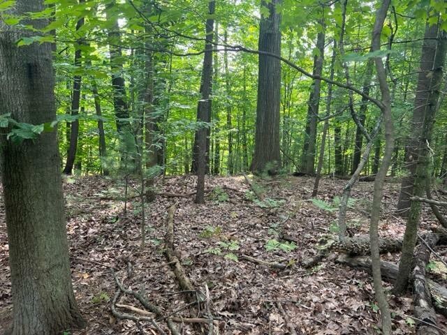 Looking to build your dream home? This beautifully wooded 1.81 - Beach Lot for sale in Whitehall, Michigan on Beachhouse.com