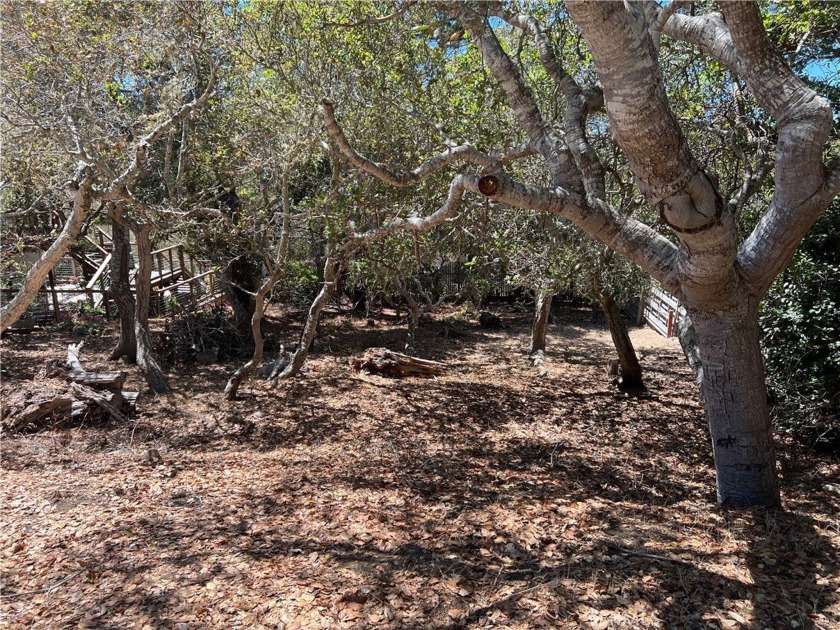 Vacant lot in the heart of Cambria, offering a peaceful forest - Beach Lot for sale in Cambria, California on Beachhouse.com